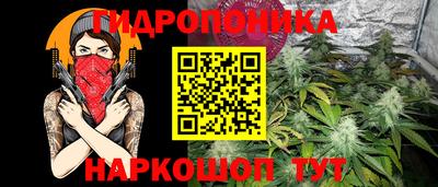 эйфоретик Камышлов