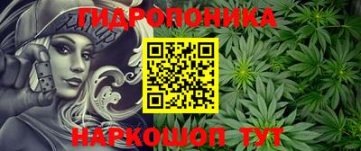 эйфоретик Камышлов