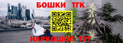 соль ск Канаш