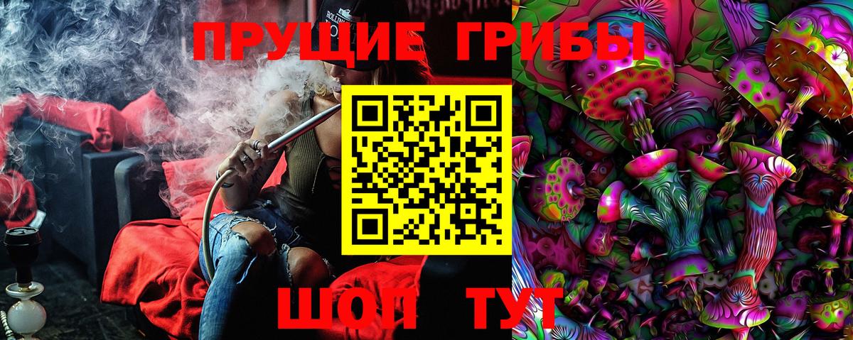 Кызыл  Галлюциногенные грибы Psilocybine cubensis  Вход с VPN 
